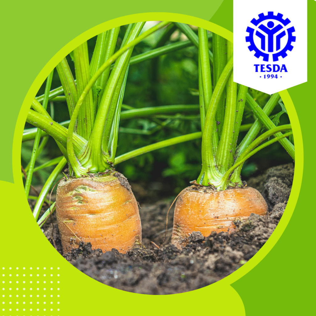 Introduction to Agricultural Crops Production