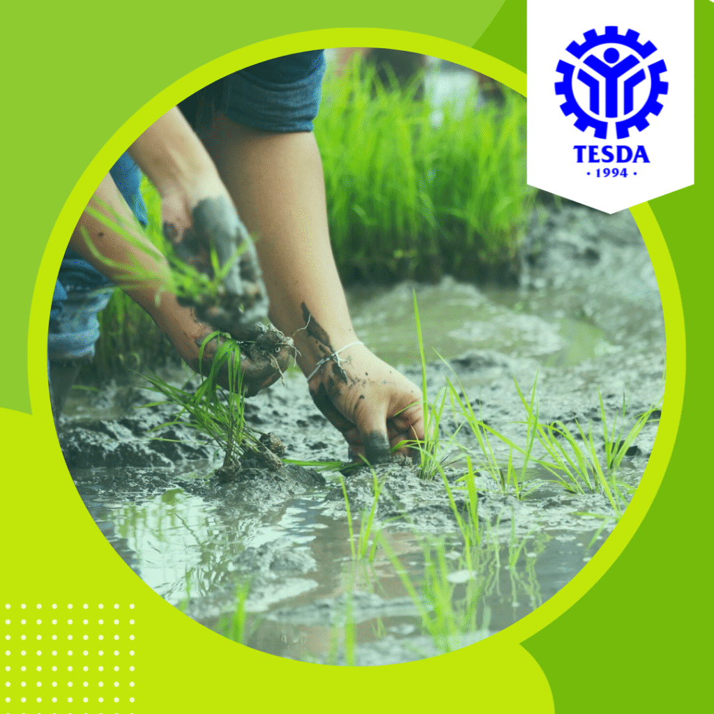  Introduction to Organic Agriculture