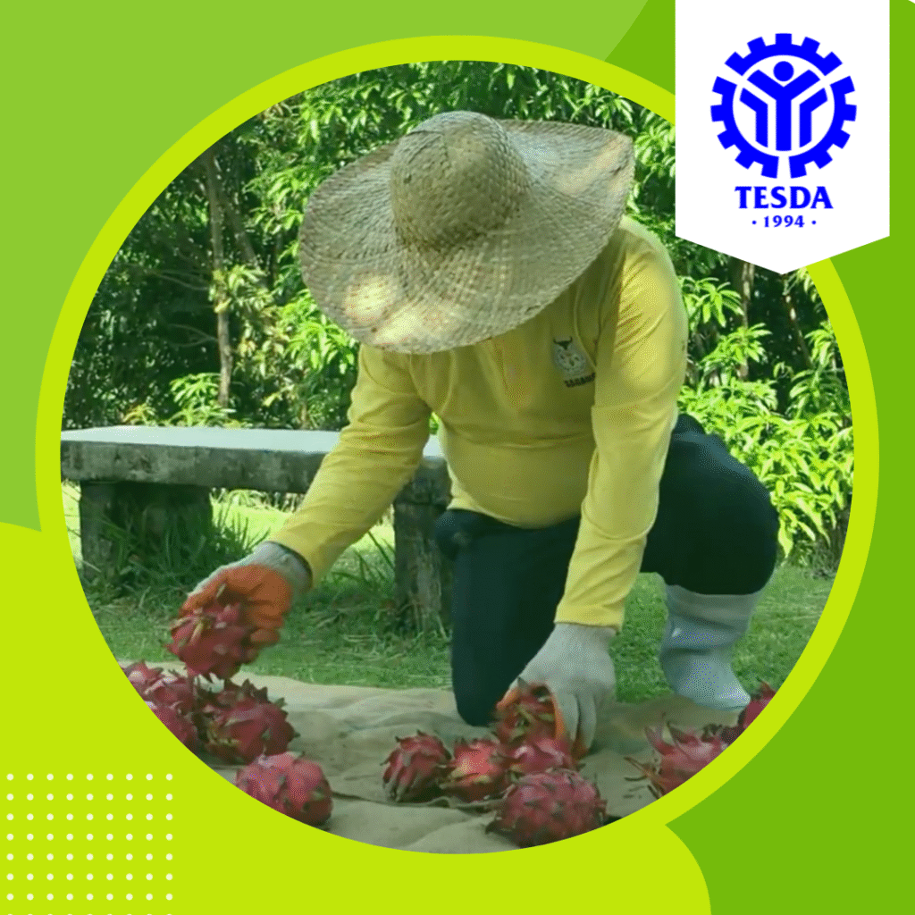 Performing Harvest and Postharvest Operations