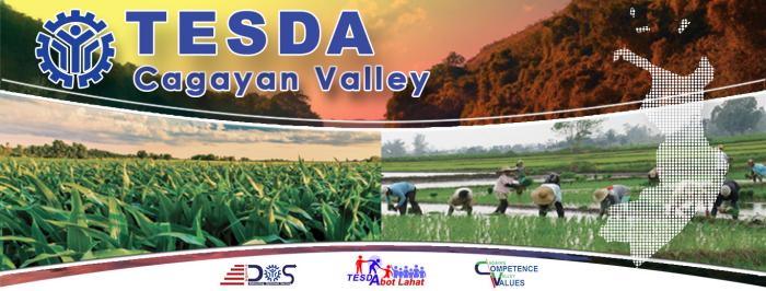 TESDA Region 2