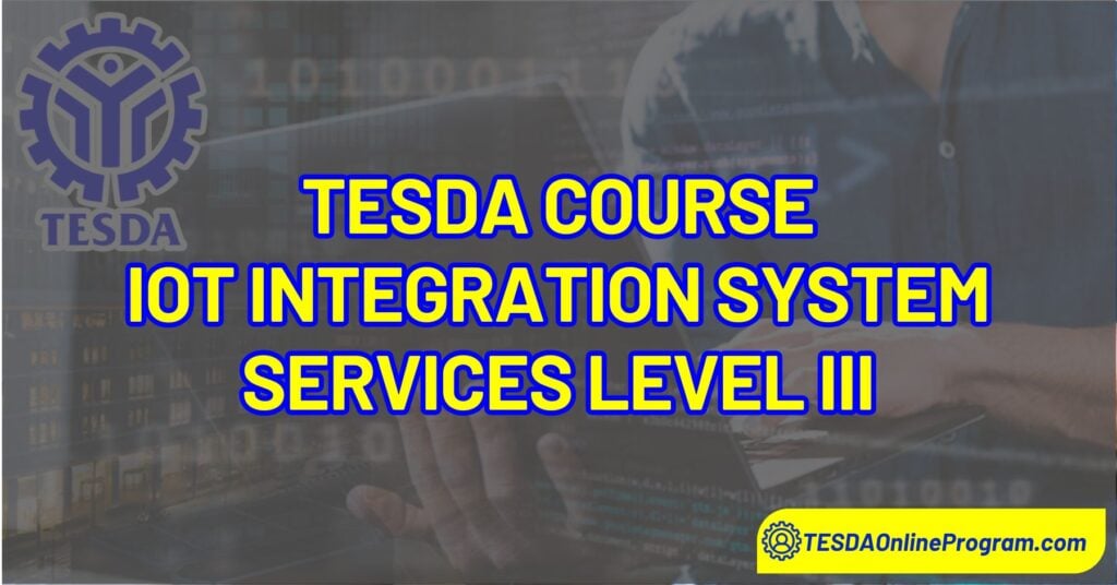 Internet of Things (IoT) Integration System Services Level III