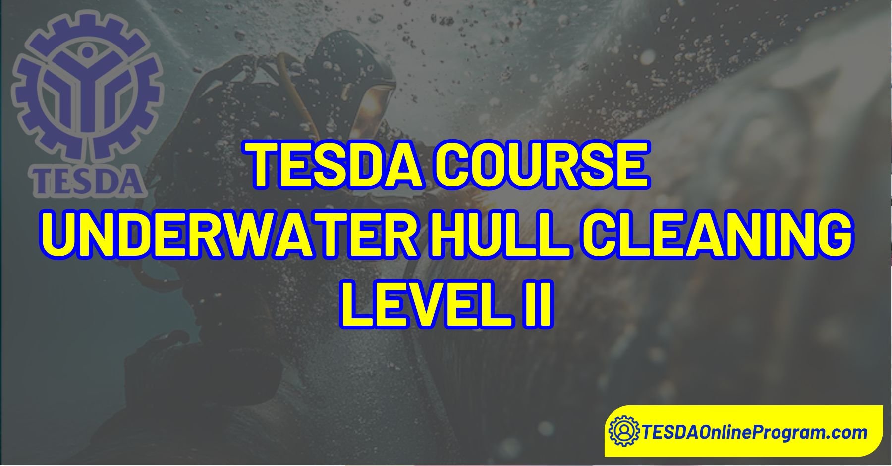 Underwater Hull Cleaning Level II