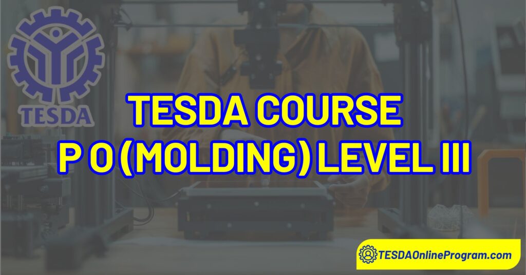 Production Operation Molding Level III