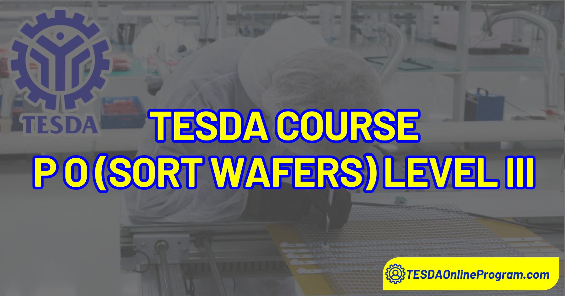 Production Operator in roles such as Wafer Sorting or Wafer Testing.