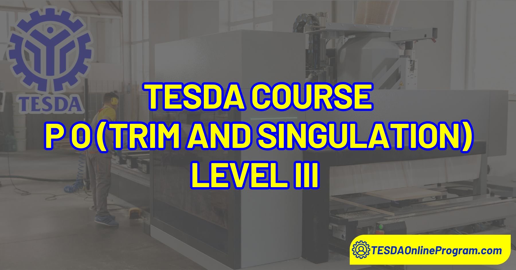 Production Operation (Trim and Singulation) Level III