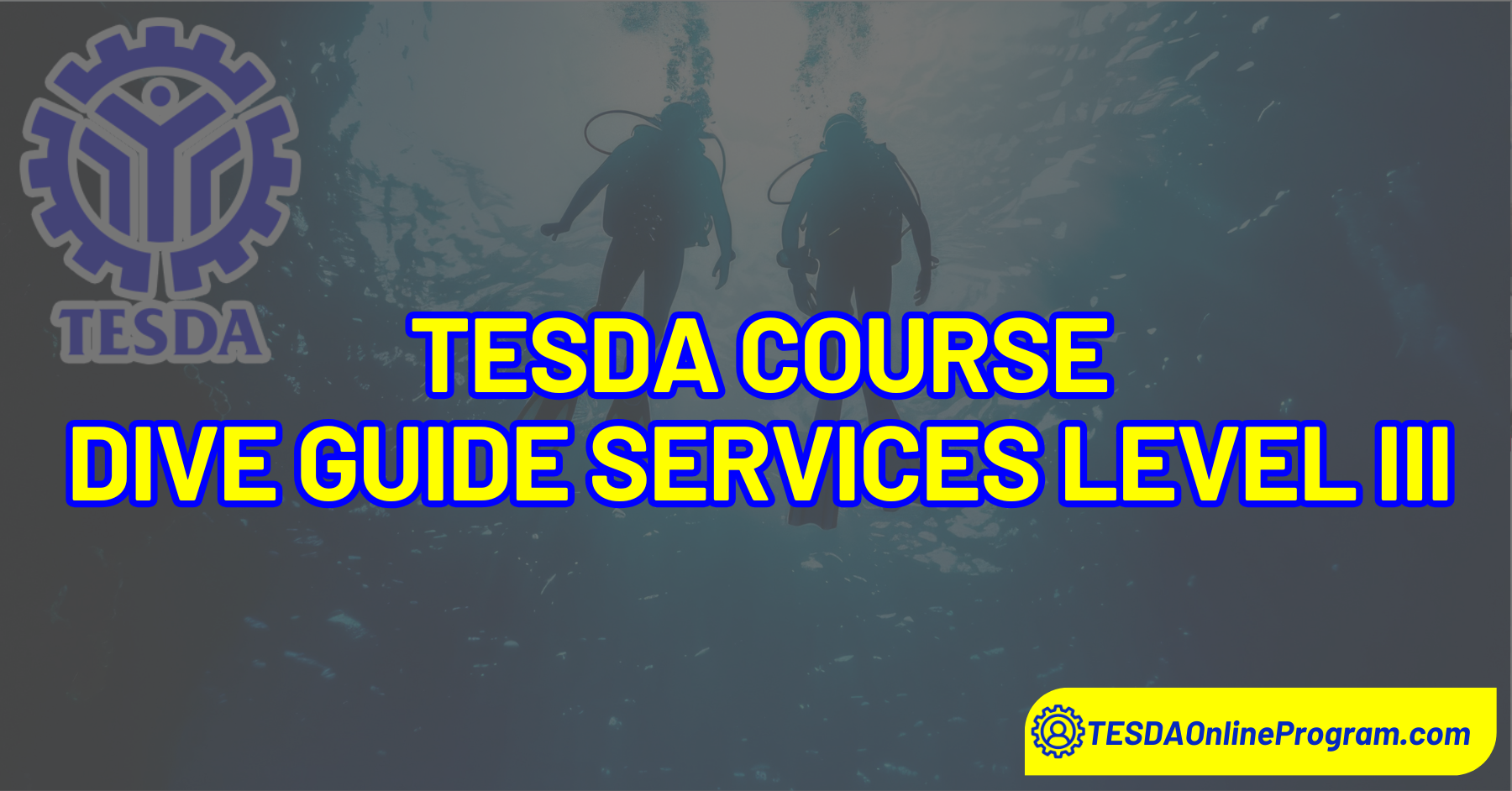 DIVE GUIDE SERVICES LEVEL III