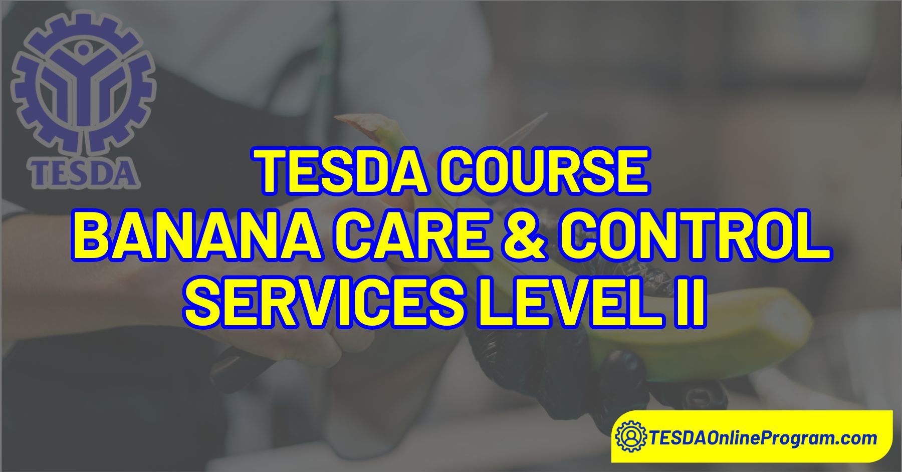 TESDA Banana Care and Control Services Level II Course