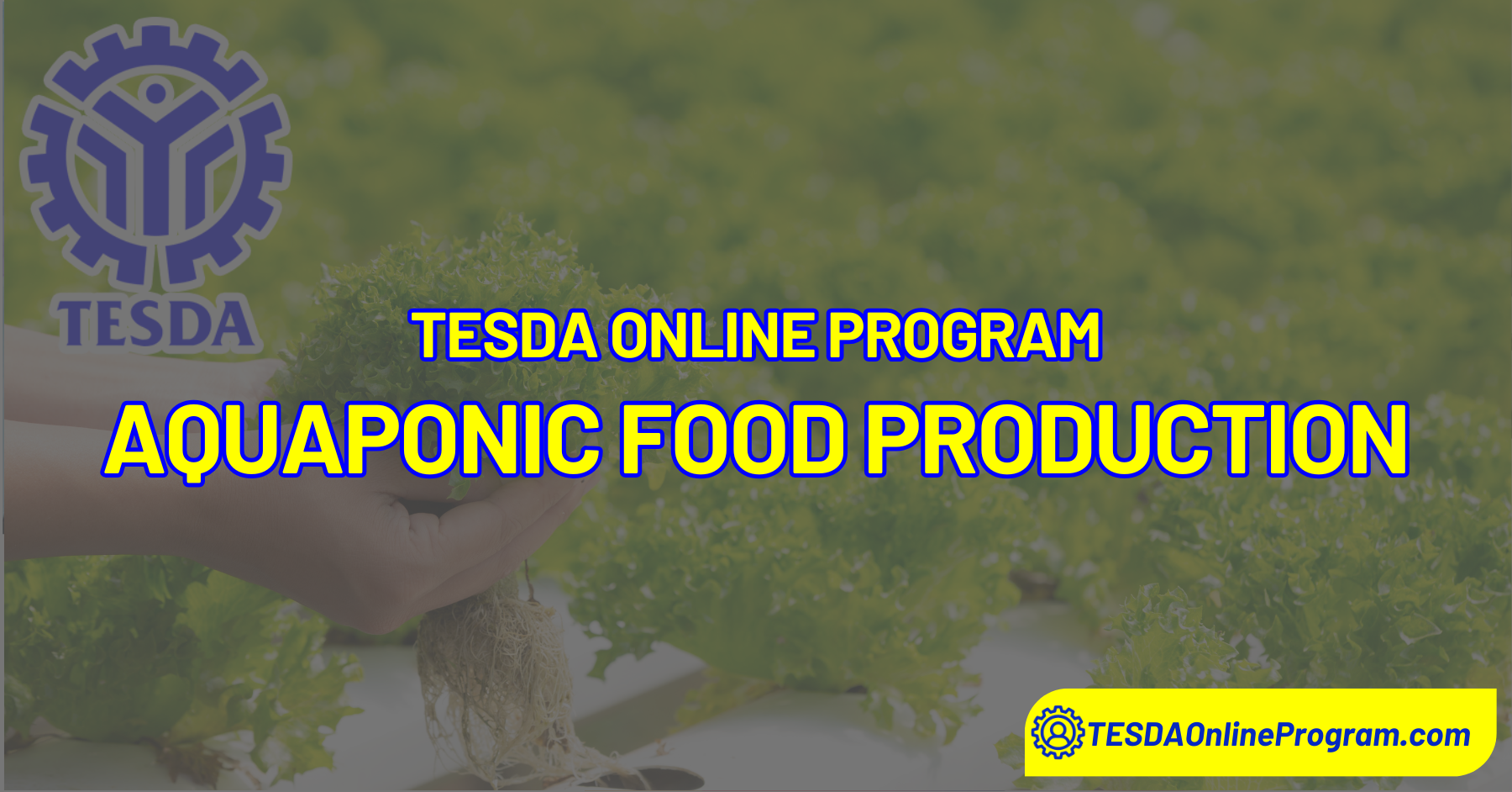 Aquaponic Food Production